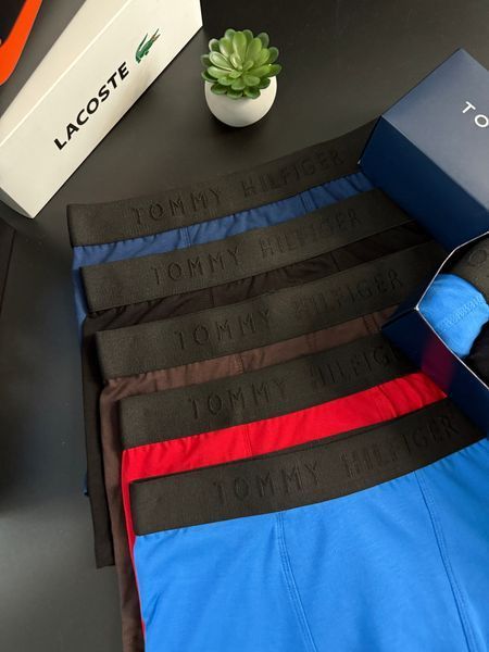 Чоловічі труси Tommy Hilfiger (Томмі Хілфігер) Набір з 5 штук | Набір Чоловічої нижньої білизни - (бавовняні) MT-0000083 фото